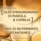 ✨ L’Oréal Elvive Olio Straordinario – Shampoo Nutriente per Capelli Secchi ✨